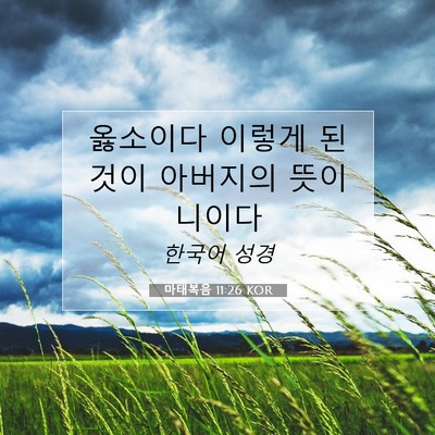 Picture 07 - 마태복음 11:26 KOR - 옳소이다 이렇게 된 것이 아버지의 - Bible Verse Picture