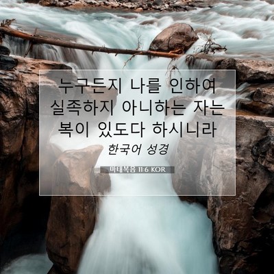 Picture 07 - 마태복음 11:6 KOR - 누구든지 나를 인하여 실족하지 - Bible Verse Picture