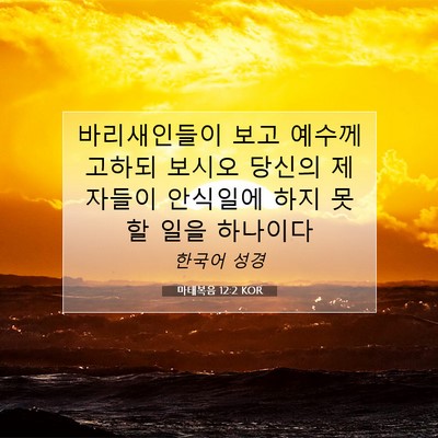Picture 07 - 마태복음 12:2 KOR - 바리새인들이 보고 예수께 고하되 - Bible Verse Picture