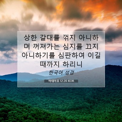 Picture 07 - 마태복음 12:20 KOR - 상한 갈대를 꺾지 아니하며 꺼져가는 - Bible Verse Picture
