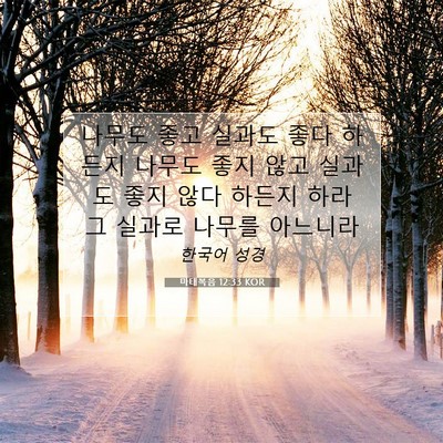 Picture 07 - 마태복음 12:33 KOR - 나무도 좋고 실과도 좋다 하든지 - Bible Verse Picture