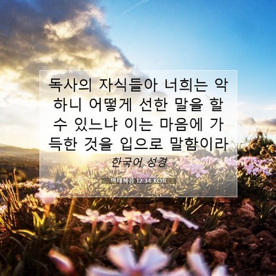 Picture 07 - 마태복음 12:34 KOR - 독사의 자식들아 너희는 악하니 - Bible Verse Picture