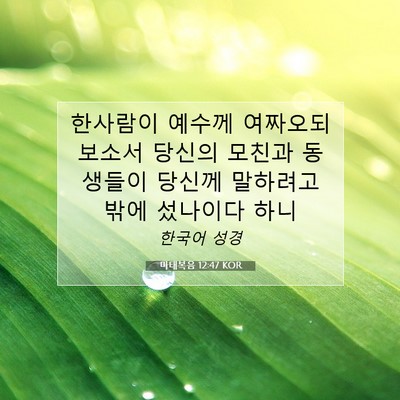 Picture 07 - 마태복음 12:47 KOR - 한사람이 예수께 여짜오되 보소서 - Bible Verse Picture