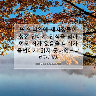 Picture 07 - 마태복음 12:5 KOR - 또 안식일에 제사장들이 성전 안에서 - Bible Verse Picture