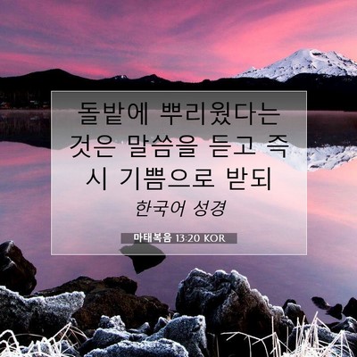 Picture 07 - 마태복음 13:20 KOR - 돌밭에 뿌리웠다는 것은 말씀을 듣고 - Bible Verse Picture
