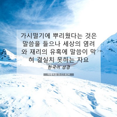 Picture 07 - 마태복음 13:22 KOR - 가시떨기에 뿌리웠다는 것은 말씀을 - Bible Verse Picture