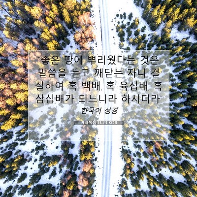 Picture 07 - 마태복음 13:23 KOR - 