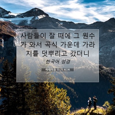 Picture 07 - 마태복음 13:25 KOR - 사람들이 잘 때에 그 원수가 와서 - Bible Verse Picture