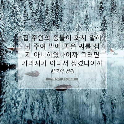 Picture 07 - 마태복음 13:27 KOR - 집 주인의 종들이 와서 말하되 주여 - Bible Verse Picture