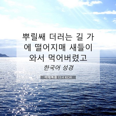 Picture 07 - 마태복음 13:4 KOR - 뿌릴쌔 더러는 길 가에 떨어지매 - Bible Verse Picture