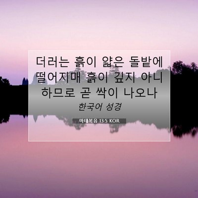 Picture 07 - 마태복음 13:5 KOR - 더러는 흙이 얇은 돌밭에 떨어지매 - Bible Verse Picture