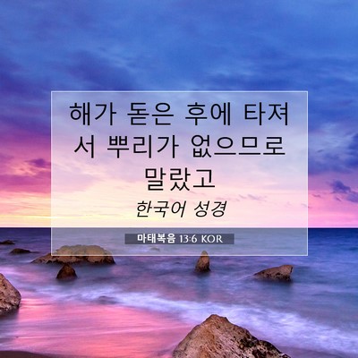 Picture 07 - 마태복음 13:6 KOR - 해가 돋은 후에 타져서 뿌리가 - Bible Verse Picture