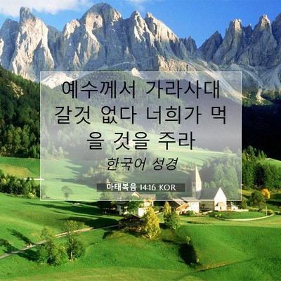 Picture 07 - 마태복음 14:16 KOR - 예수께서 가라사대 갈것 없다 너희가 - Bible Verse Picture