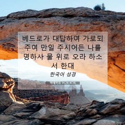 Picture 07 - 마태복음 14:28 KOR - 베드로가 대답하여 가로되 주여 만일 - Bible Verse Picture