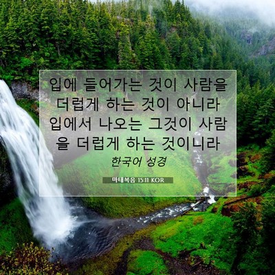 Picture 07 - 마태복음 15:11 KOR - 입에 들어가는 것이 사람을 더럽게 - Bible Verse Picture