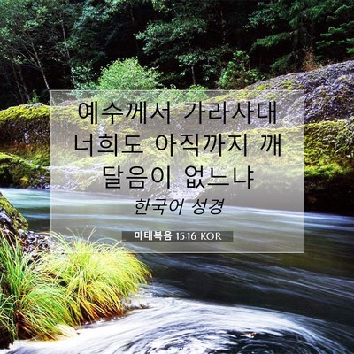 Picture 07 - 마태복음 15:16 KOR - 예수께서 가라사대 너희도 아직까지 - Bible Verse Picture