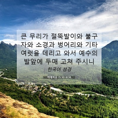 Picture 07 - 마태복음 15:30 KOR - 큰 무리가 절뚝발이와 불구자와 - Bible Verse Picture