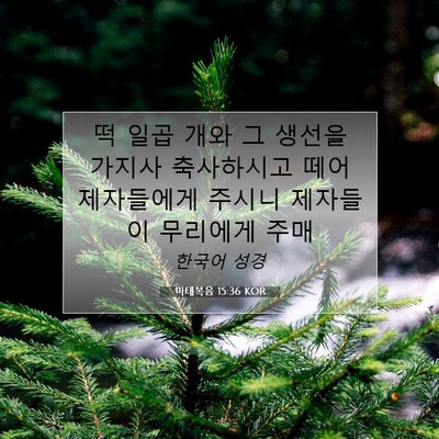 Picture 07 - 마태복음 15:36 KOR - 떡 일곱 개와 그 생선을 가지사 - Bible Verse Picture