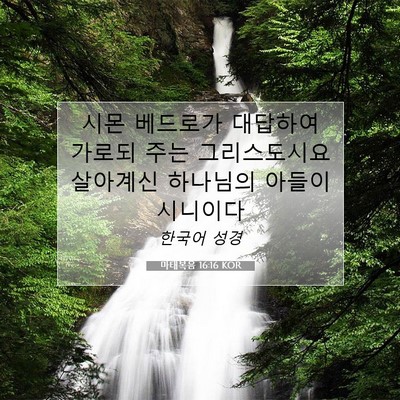 Picture 07 - 마태복음 16:16 KOR - 시몬 베드로가 대답하여 가로되 주는 - Bible Verse Picture