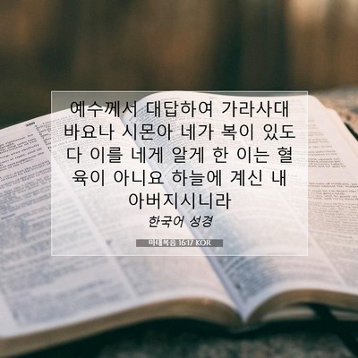 Picture 07 - 마태복음 16:17 KOR - 예수께서 대답하여 가라사대 바요나 - Bible Verse Picture