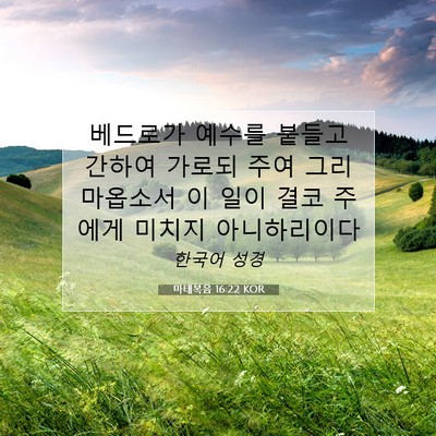 Picture 07 - 마태복음 16:22 KOR - 베드로가 예수를 붙들고 간하여 - Bible Verse Picture