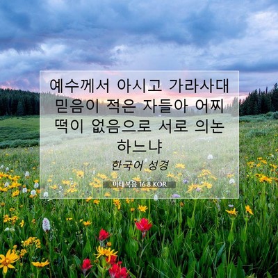 Picture 07 - 마태복음 16:8 KOR - 예수께서 아시고 가라사대 믿음이 - Bible Verse Picture