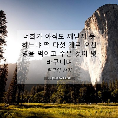 Picture 07 - 마태복음 16:9 KOR - 너희가 아직도 깨닫지 못하느냐 떡 - Bible Verse Picture