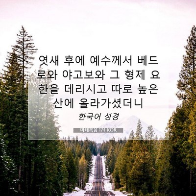 Picture 07 - 마태복음 17:1 KOR - 엿새 후에 예수께서 베드로와 - Bible Verse Picture
