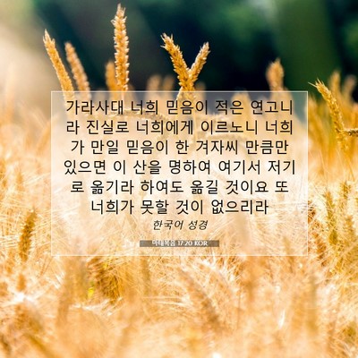 Picture 07 - 마태복음 17:20 KOR - 가라사대 너희 믿음이 적은 연고니라 - Bible Verse Picture