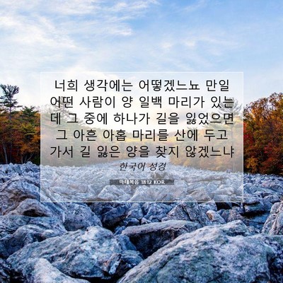 Picture 07 - 마태복음 18:12 KOR - 너희 생각에는 어떻겠느뇨 만일 어떤 - Bible Verse Picture