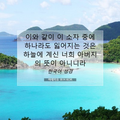 Picture 07 - 마태복음 18:14 KOR - 이와 같이 이 소자 중에 하나라도 - Bible Verse Picture