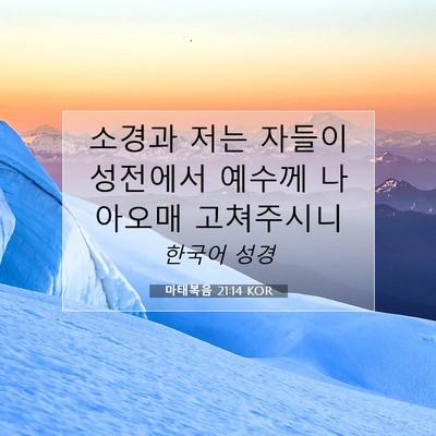 Picture 07 - 마태복음 21:14 KOR - 소경과 저는 자들이 성전에서 예수께 - Bible Verse Picture