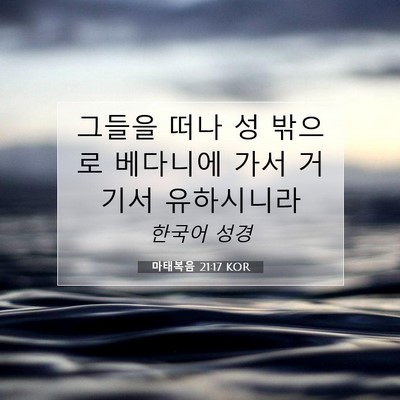 Picture 07 - 마태복음 21:17 KOR - 그들을 떠나 성 밖으로 베다니에 - Bible Verse Picture