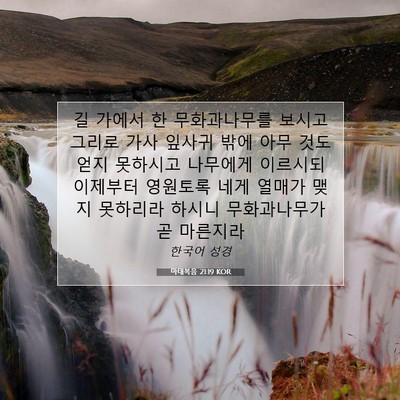 Picture 07 - 마태복음 21:19 KOR - 길 가에서 한 무화과나무를 보시고 - Bible Verse Picture
