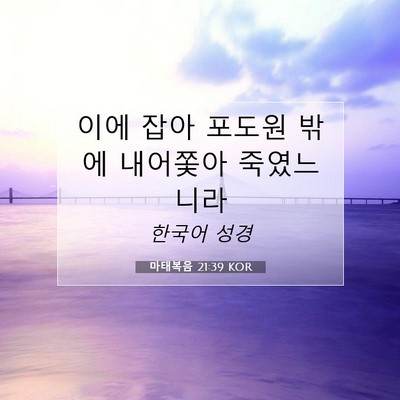 Picture 07 - 마태복음 21:39 KOR - 이에 잡아 포도원 밖에 내어쫓아 - Bible Verse Picture