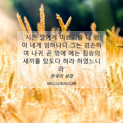 Picture 07 - 마태복음 21:5 KOR - 