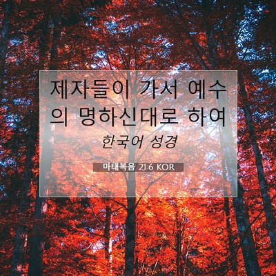 Picture 07 - 마태복음 21:6 KOR - 제자들이 가서 예수의 명하신대로 - Bible Verse Picture