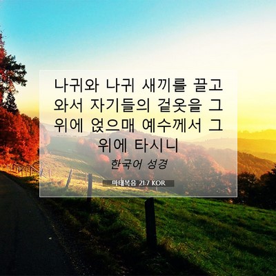 Picture 07 - 마태복음 21:7 KOR - 나귀와 나귀 새끼를 끌고 와서 - Bible Verse Picture