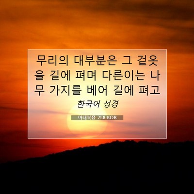 Picture 07 - 마태복음 21:8 KOR - 무리의 대부분은 그 겉옷을 길에 - Bible Verse Picture