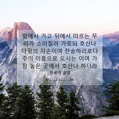 Picture 07 - 마태복음 21:9 KOR - 앞에서 가고 뒤에서 따르는 무리가 - Bible Verse Picture