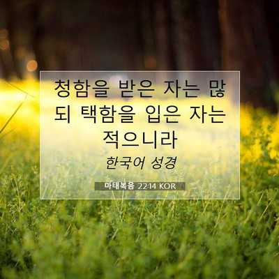 Picture 07 - 마태복음 22:14 KOR - 청함을 받은 자는 많되 택함을 입은 - Bible Verse Picture