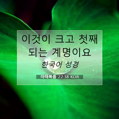 Picture 07 - 마태복음 22:38 KOR - 이것이 크고 첫째 되는 - Bible Verse Picture