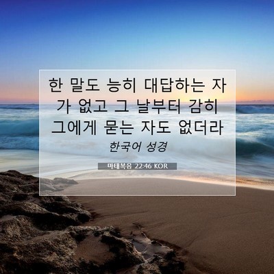 Picture 07 - 마태복음 22:46 KOR - 한 말도 능히 대답하는 자가 없고 그 - Bible Verse Picture