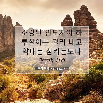 Picture 07 - 마태복음 23:24 KOR - 소경된 인도자여 하루살이는 걸러 - Bible Verse Picture