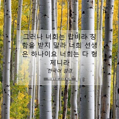 Picture 07 - 마태복음 23:8 KOR - 그러나 너희는 랍비라 칭함을 받지 - Bible Verse Picture
