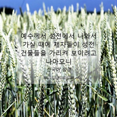 Picture 07 - 마태복음 24:1 KOR - 예수께서 성전에서 나와서 가실 때에 - Bible Verse Picture