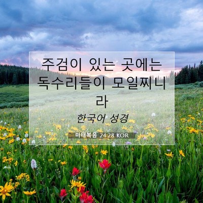 Picture 07 - 마태복음 24:28 KOR - 주검이 있는 곳에는 독수리들이 - Bible Verse Picture