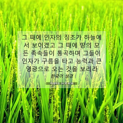 Picture 07 - 마태복음 24:30 KOR - 그 때에 인자의 징조가 하늘에서 - Bible Verse Picture