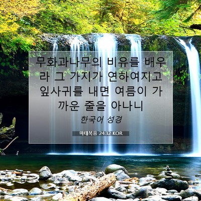 Picture 07 - 마태복음 24:32 KOR - 무화과나무의 비유를 배우라 그 - Bible Verse Picture