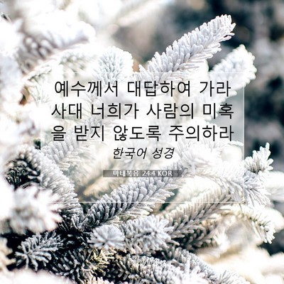 Picture 07 - 마태복음 24:4 KOR - 예수께서 대답하여 가라사대 너희가 - Bible Verse Picture